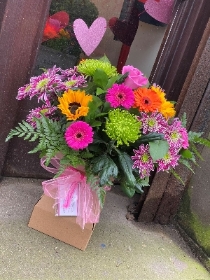 Spring brights